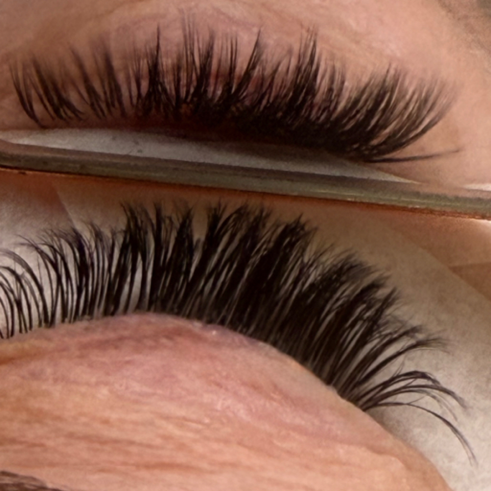Loyalty Refresh Set at Foxford Lash in Peoria, AZ