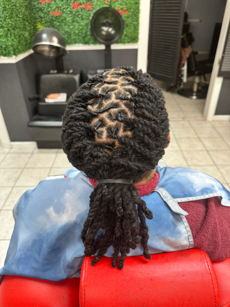 The Mane Works C( Ear-shoulder) at The Mane Aura in Columbia, SC