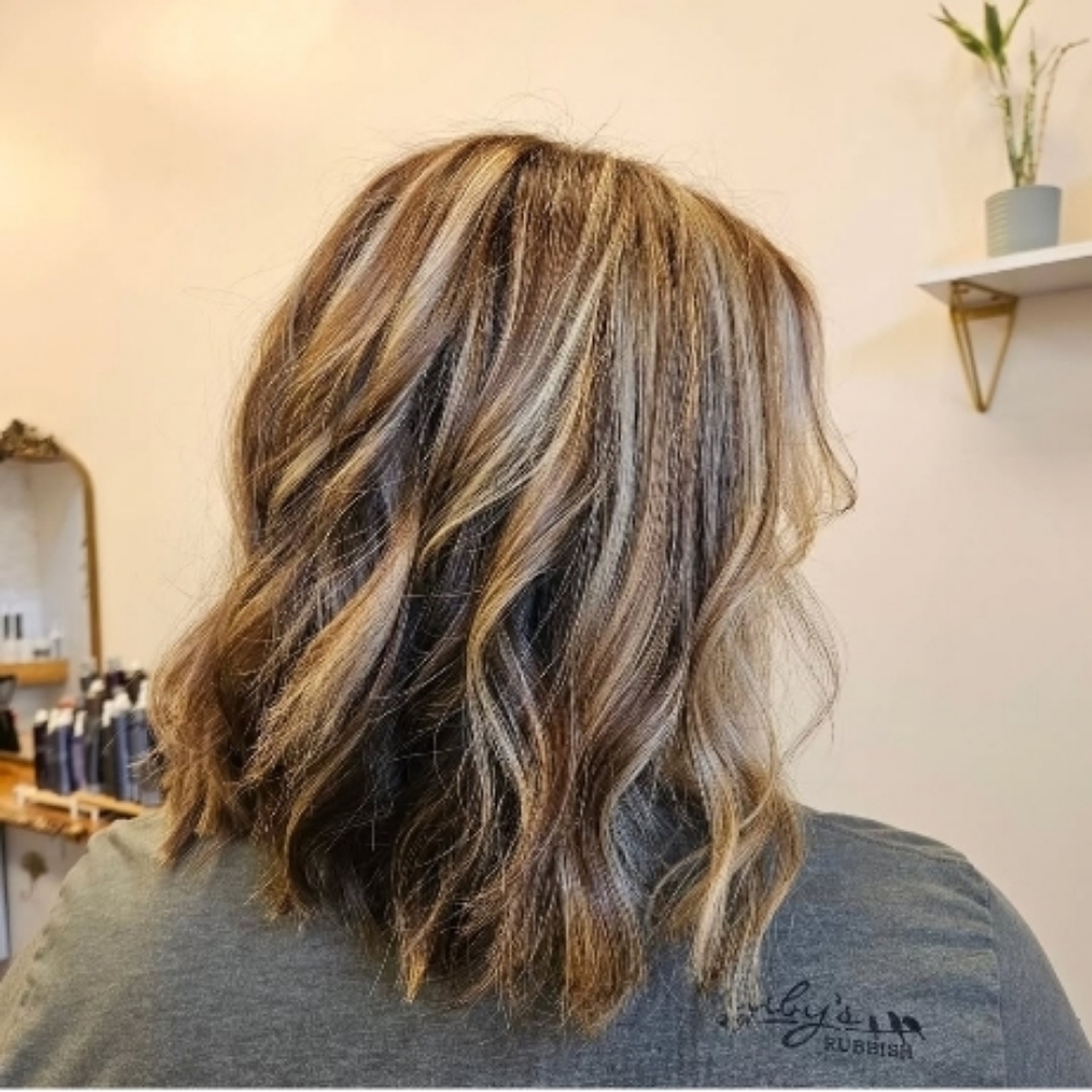 Partial Balayage & Haircut at Salon Blume in Cornelius, NC