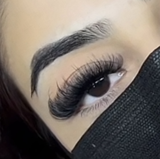 Volume Lashes 50$
