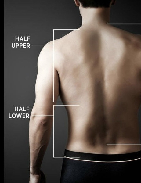 Upper Or Lower Back