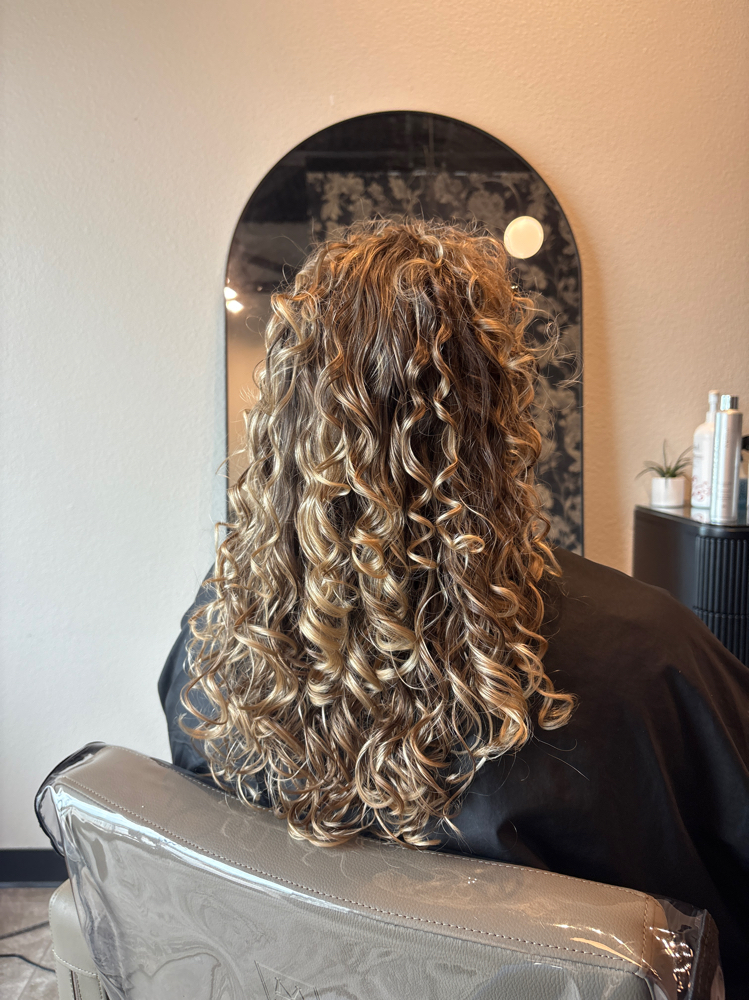 Dry Cut (Returning Clients)