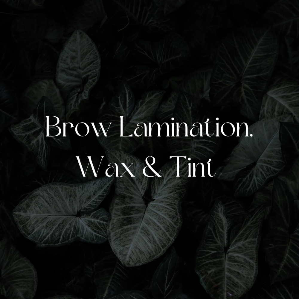 Total Brow Transformation