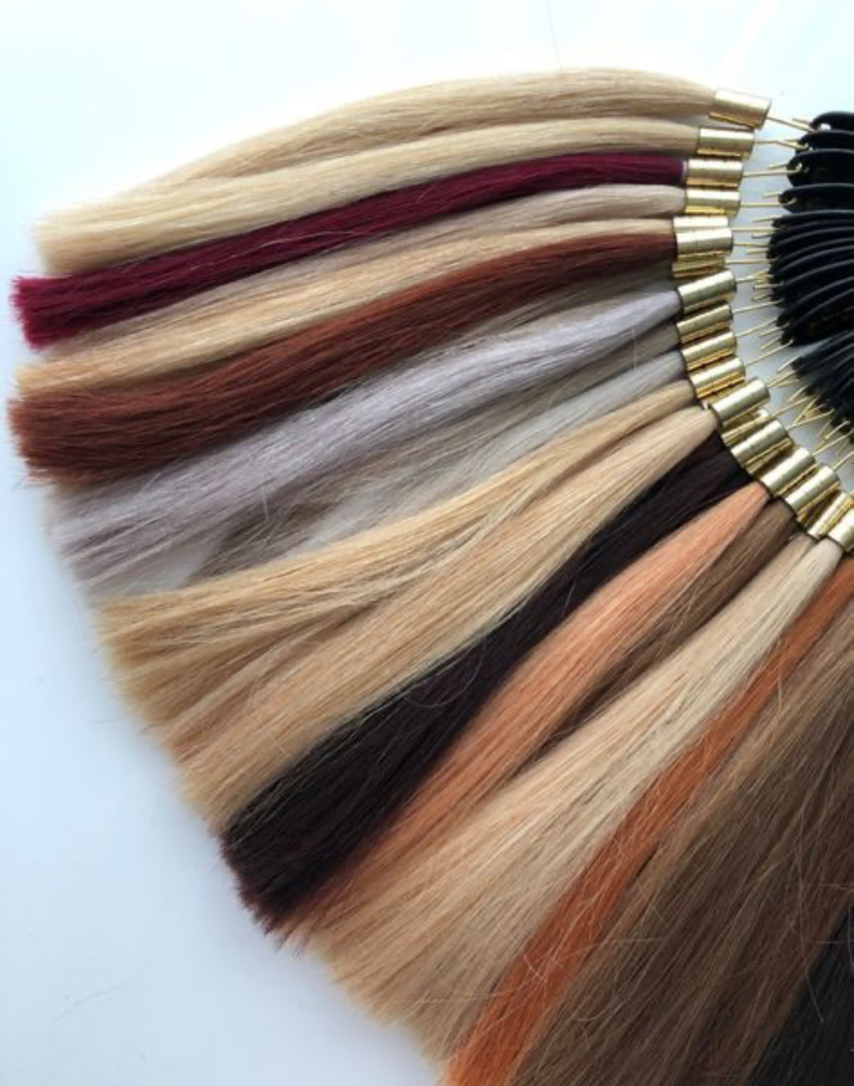 Hair Extension Consultation