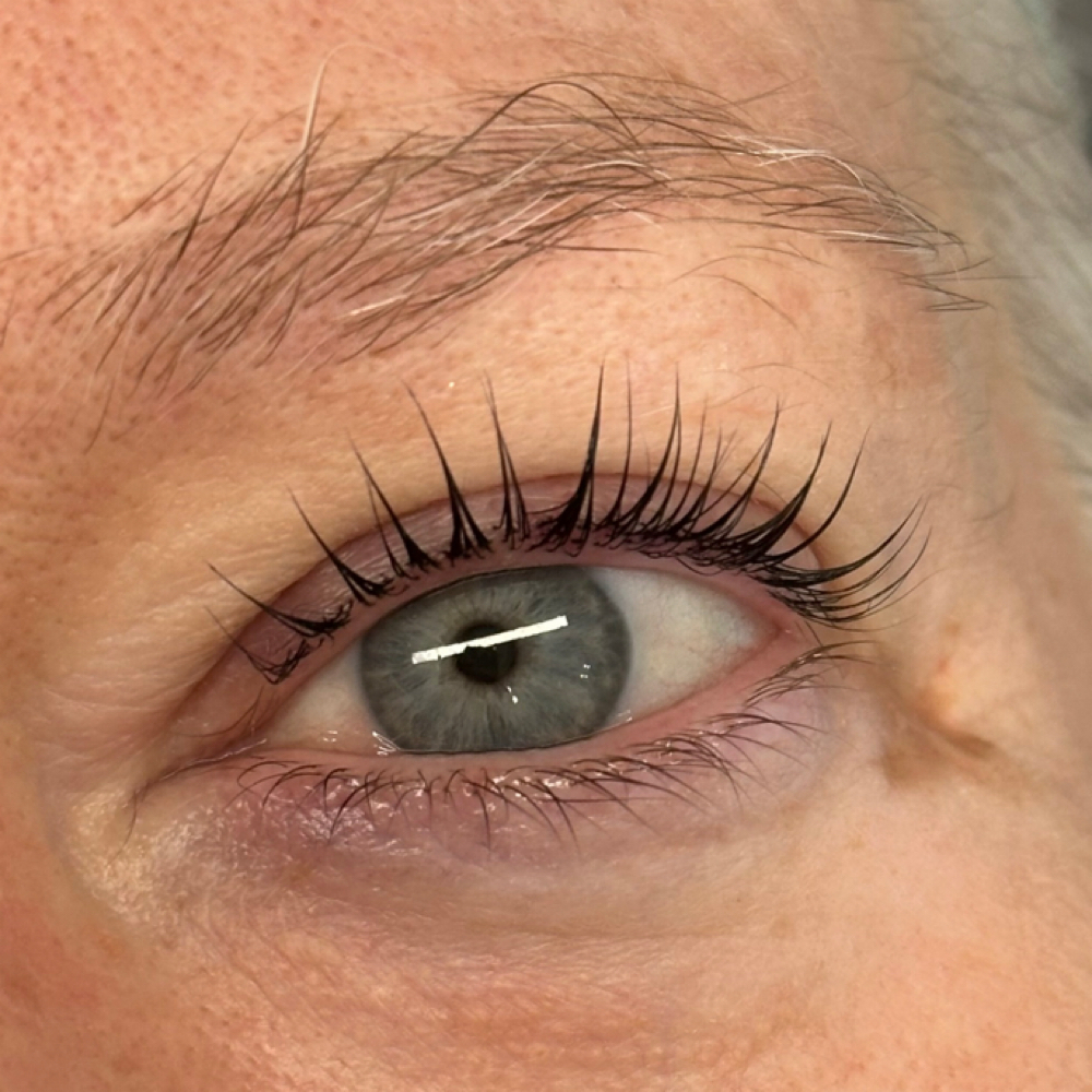Lash Lift & Tint at Dreamy Esthetics in Cortland, NY