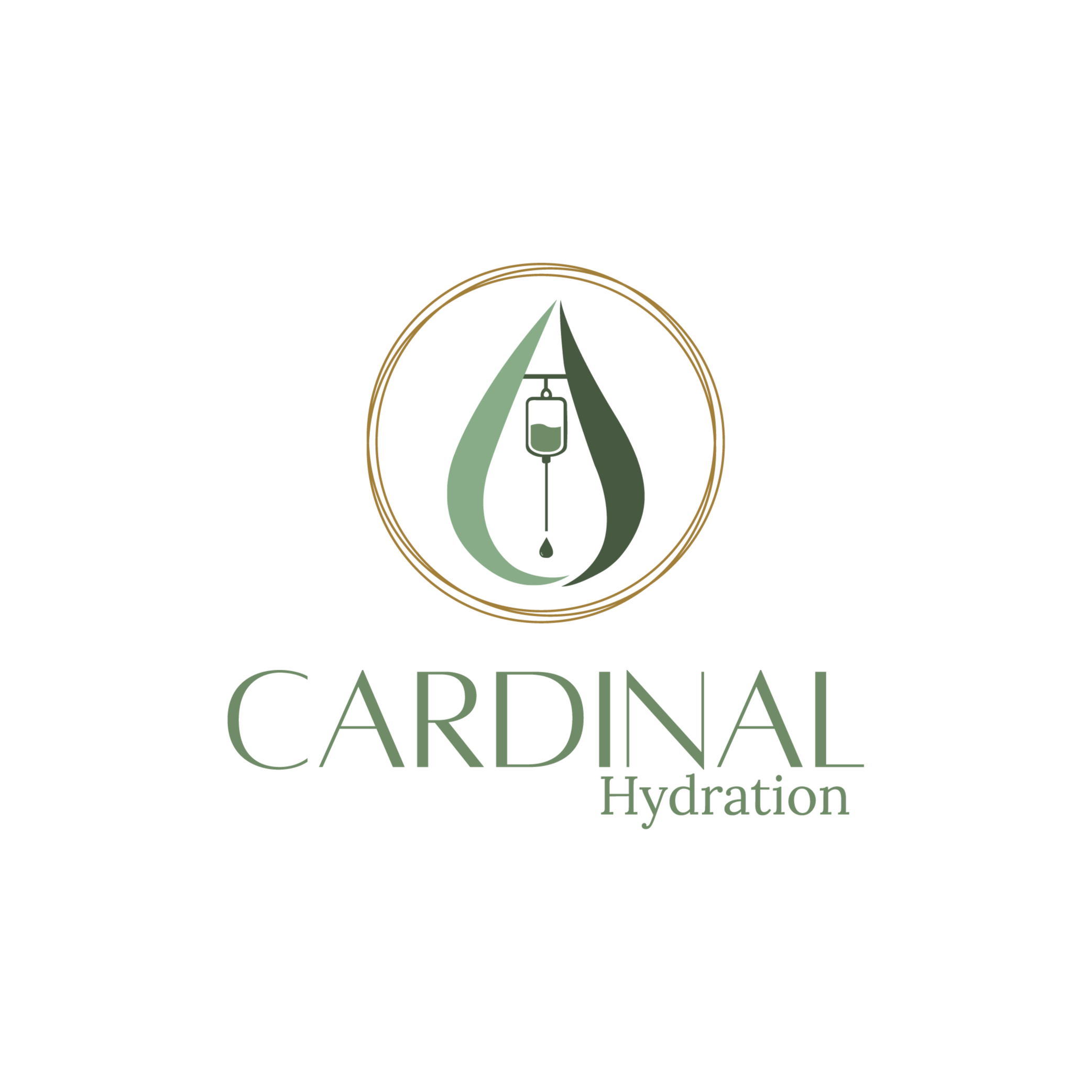 Telephone consult at Cardinal Hydration in Blacksburg, VA