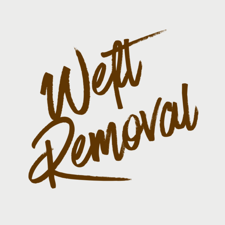 Weft Removal Packages at Lane Luxe Studio LLC in Pasadena, TX