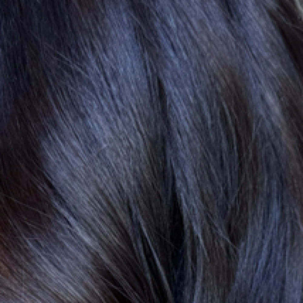Color Retouch at Level K Salon in San Antonio, TX