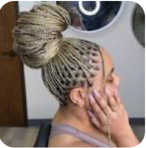 Knottness Mini Braids/twist