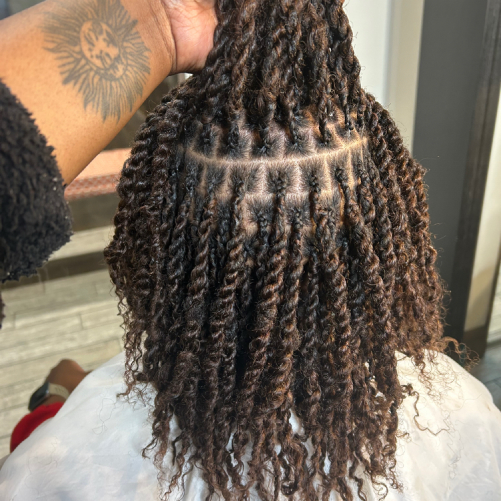 Mini Twist + Human Hair at KayShineHairPro in Shaker Heights, OH