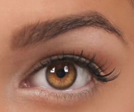 Brow Tint