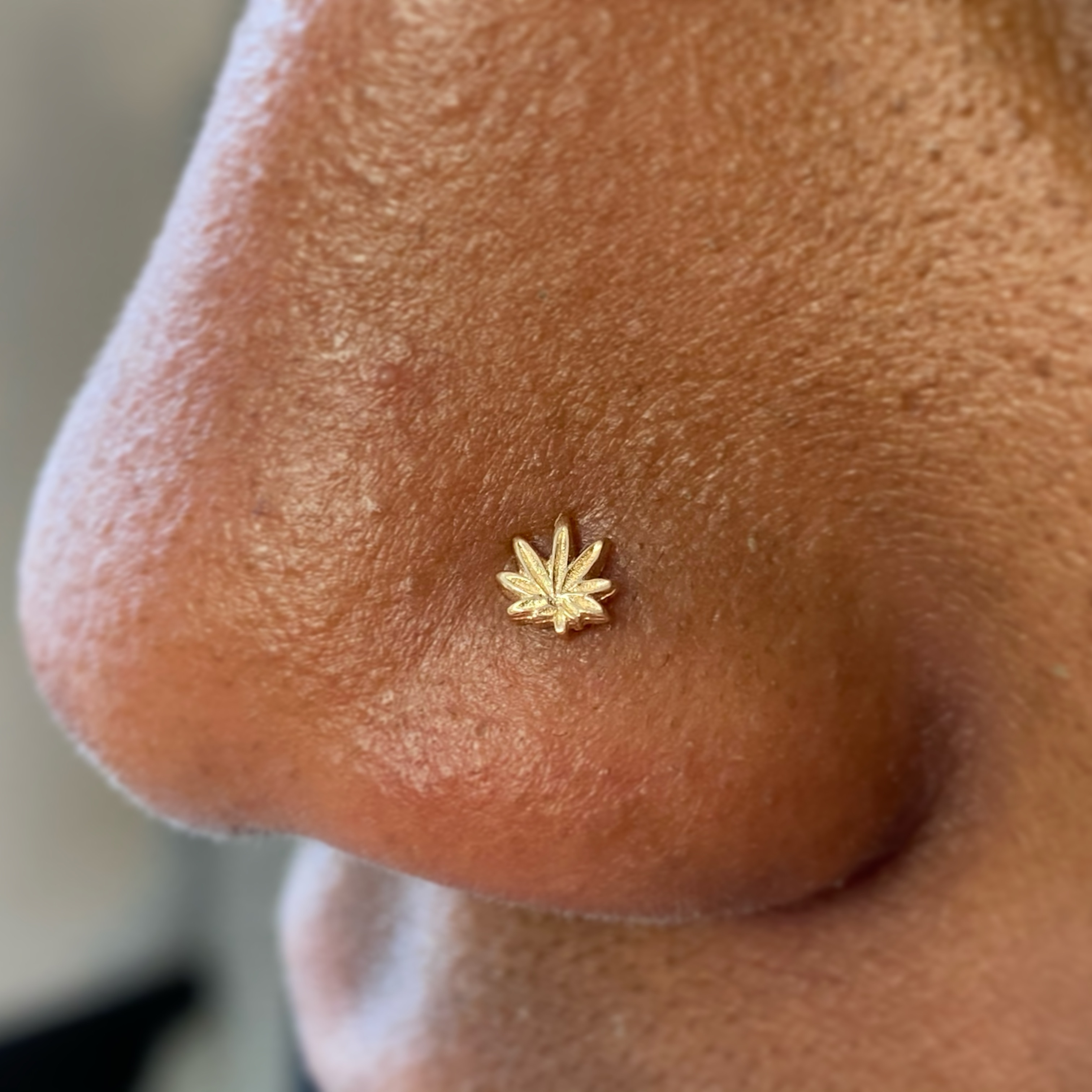 Apprentice piercing at Kissed By A Needle in North Providence, RI