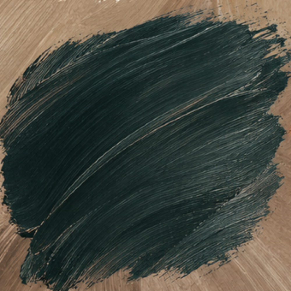 Haircut + Style at T+K artistry in Willis, TX