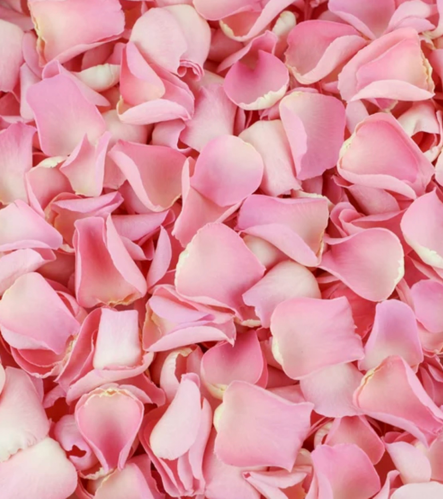 Rose Hip Aromatherapy Facial at Transformations by Mindy in Wayne, WV