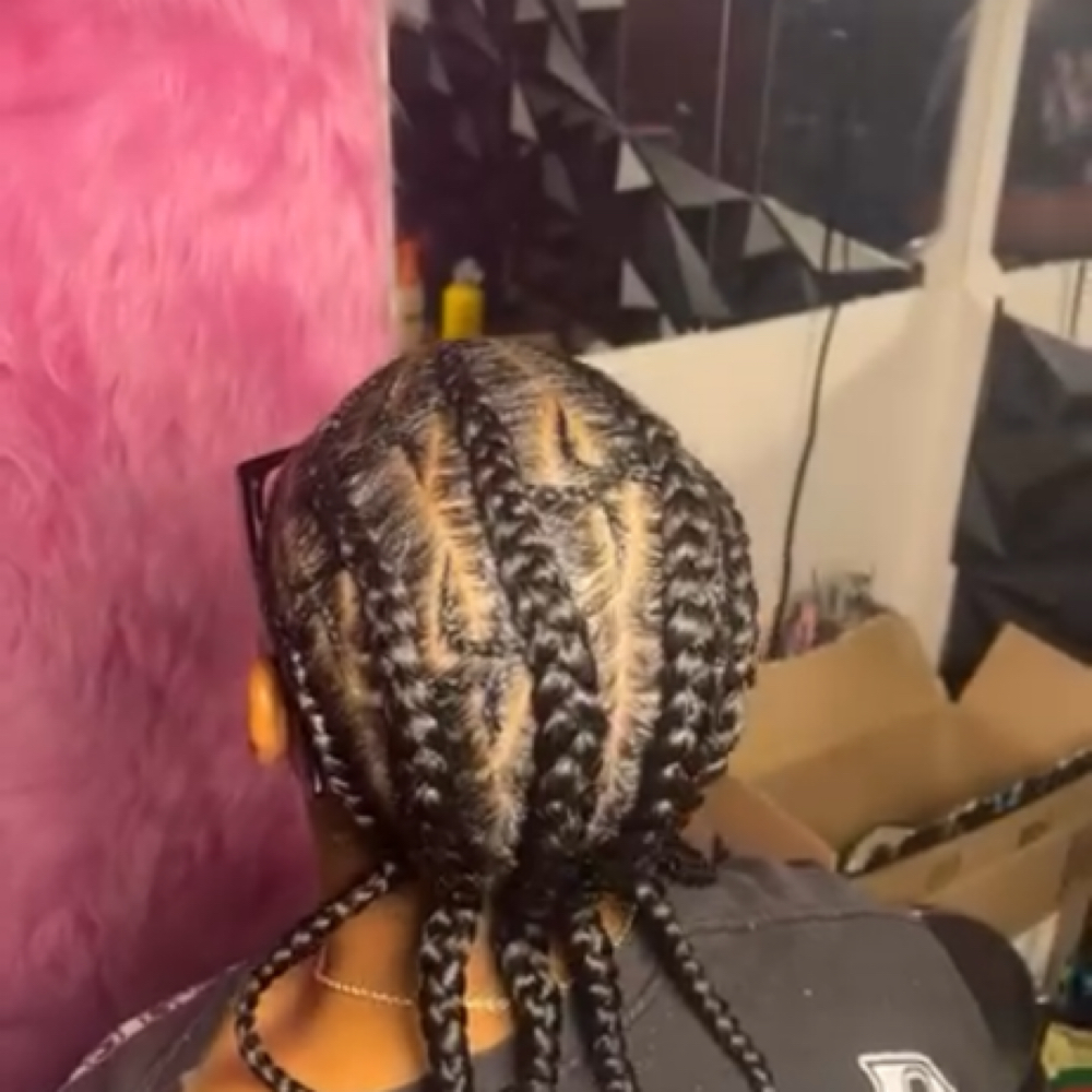 Natural Braids (No Extension) at Hair by sani in Sacramento, CA