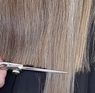 Haircut With Color