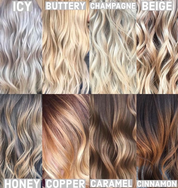 Express Gloss/Tone + Blowdry