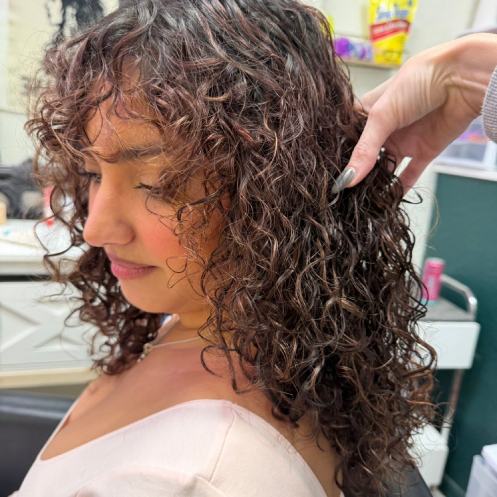 Curl Cut at Dark Mane Studio LLC in Plant City, FL