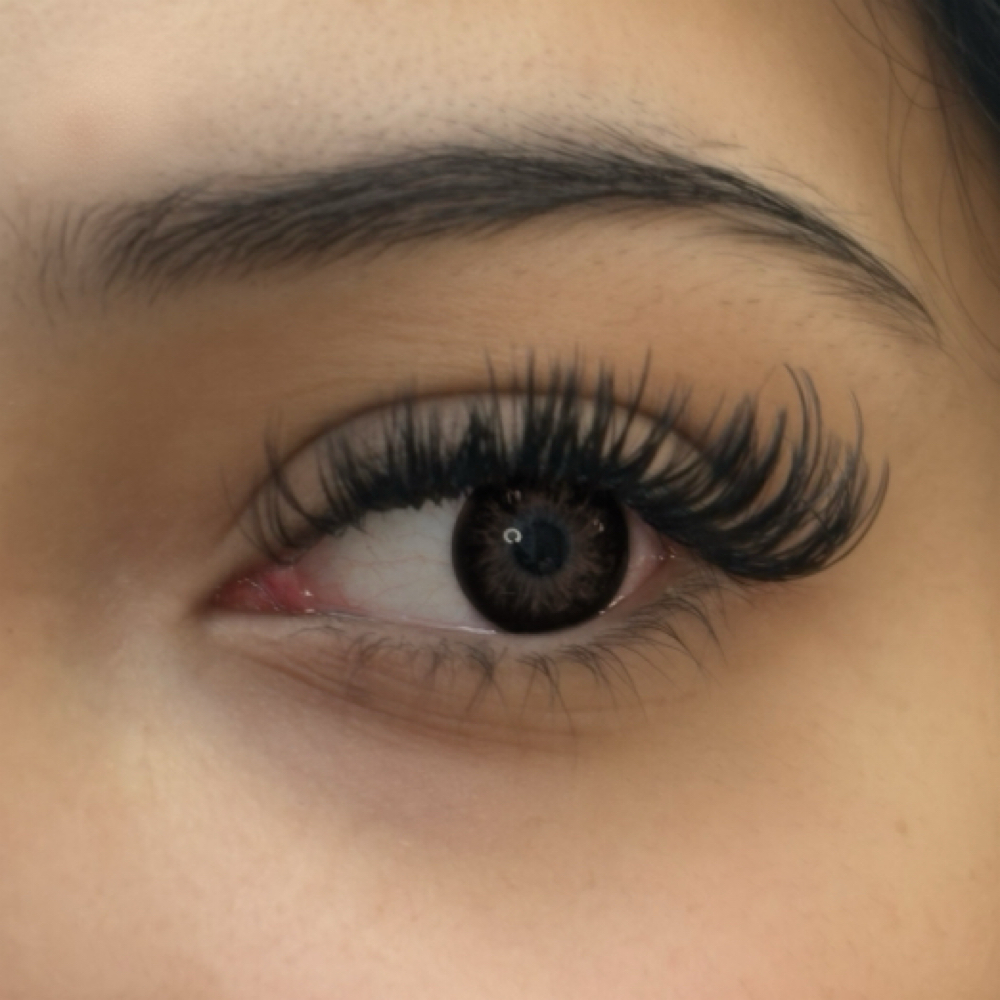 Mega Volume Retouch (2-3 weeks) at Martell’s Beauty Bar in Cypress, TX