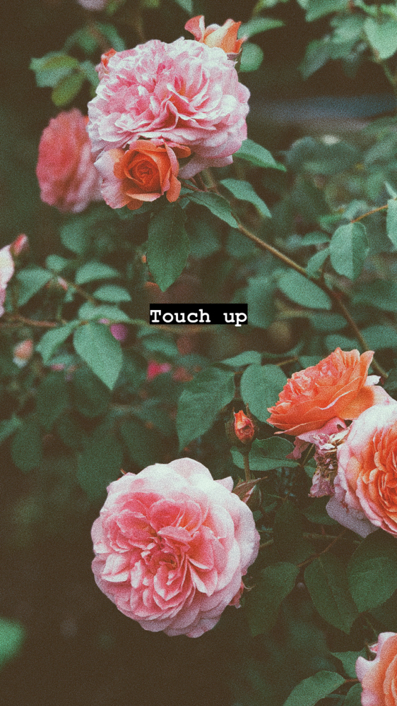 Touch Up *EMAIL BEFORE BOOKING*