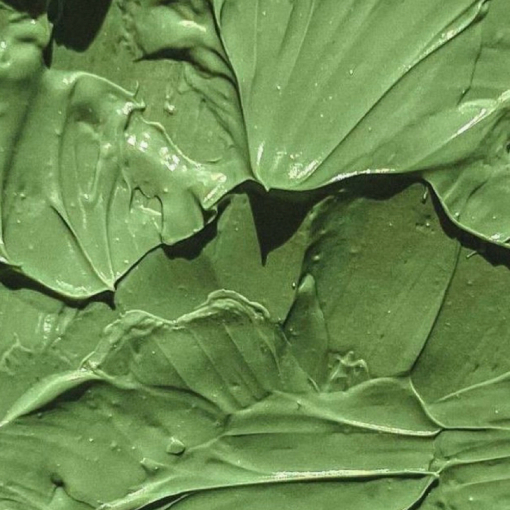 Dermaplane Stand Alone at Alexxa Esthetic in Berkley, MI