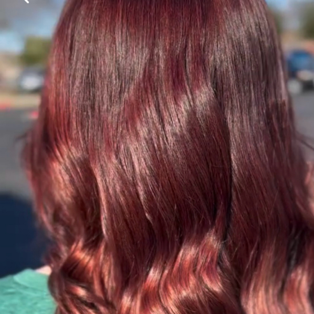 All Over Color + Style at Image Is Everything Salon in Mesa, AZ
