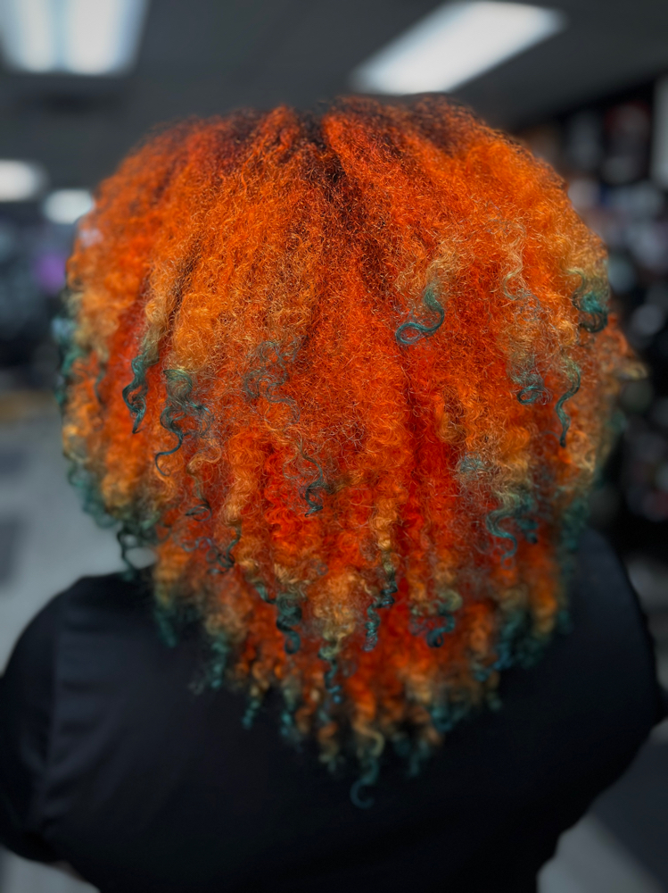 Curly Cut With Diffuse