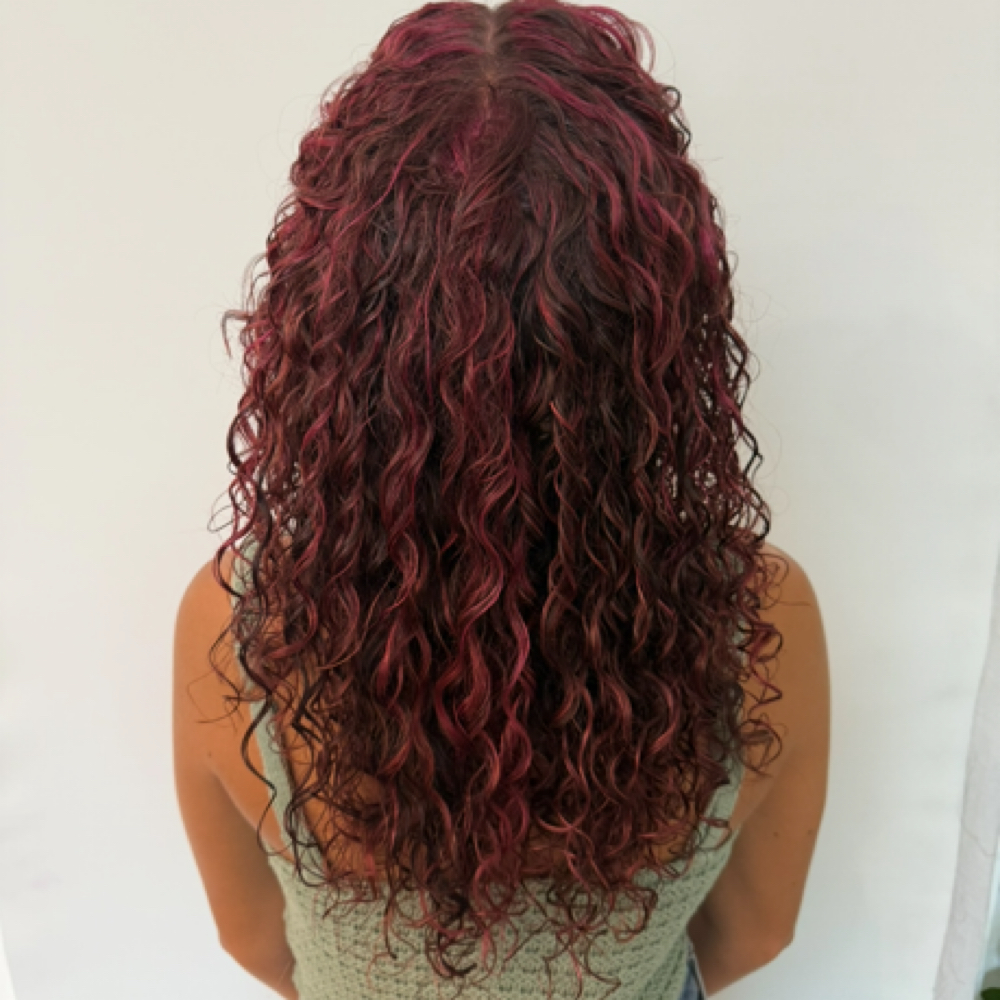 Add on Haircut with Color Service (shorter time) at Jessica Shaun Hair in Saint Louis, MO