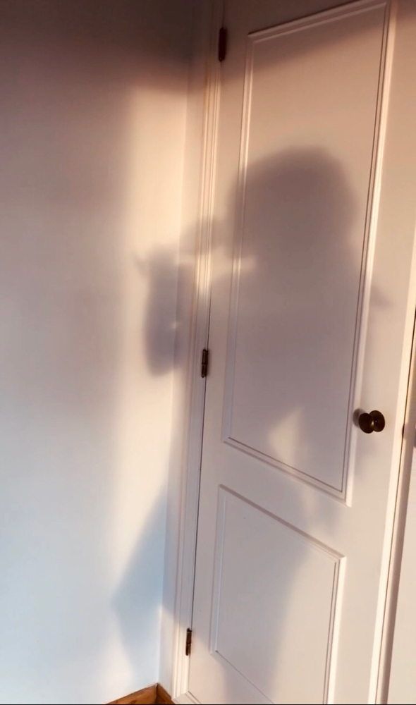 Silhouette Sculpting