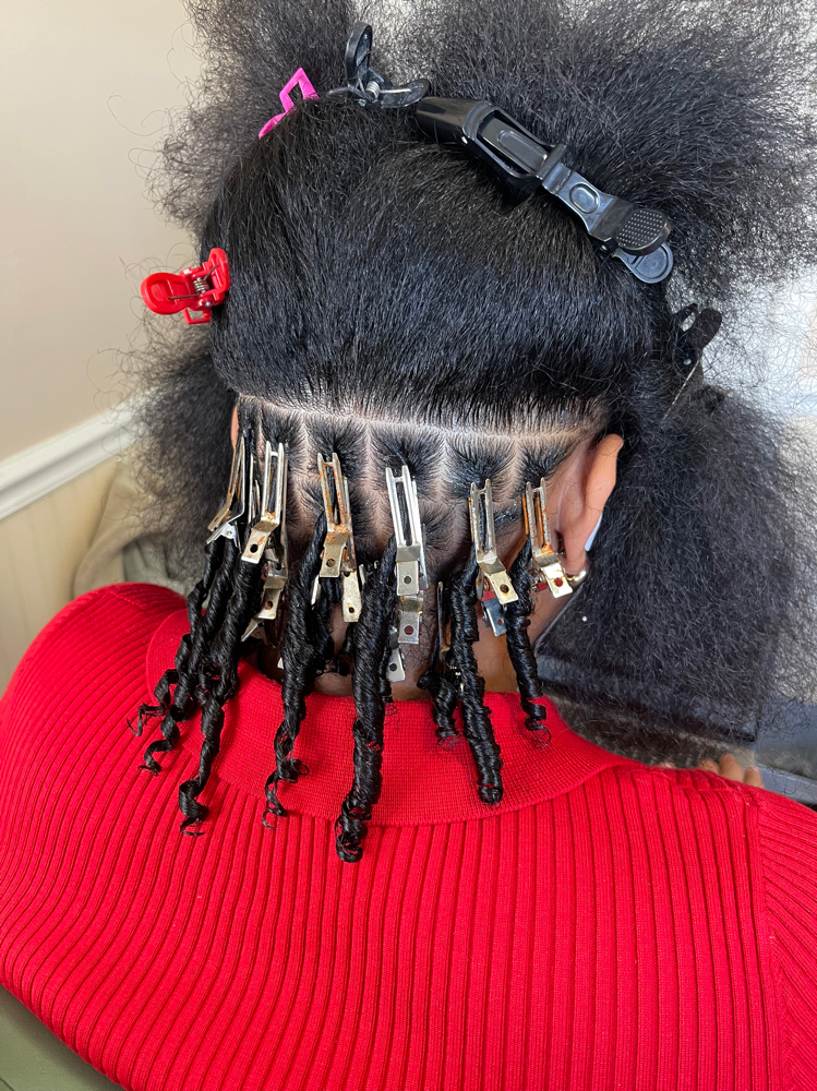 Starter Locs