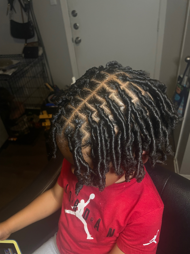 Comb Coil Starter Locs