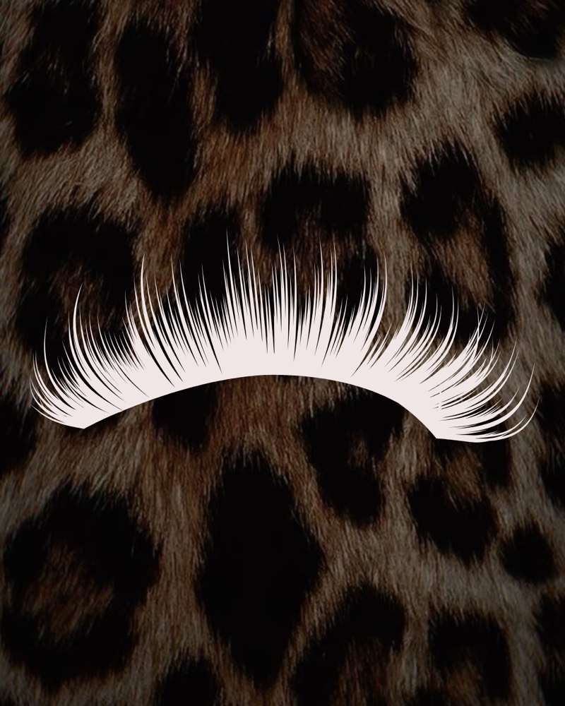 Lash Consultation at Posh Beauty Haven in Stafford, VA
