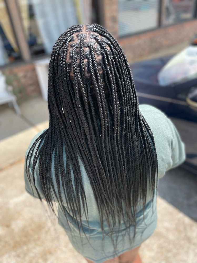 Extra Small (Mid-back)