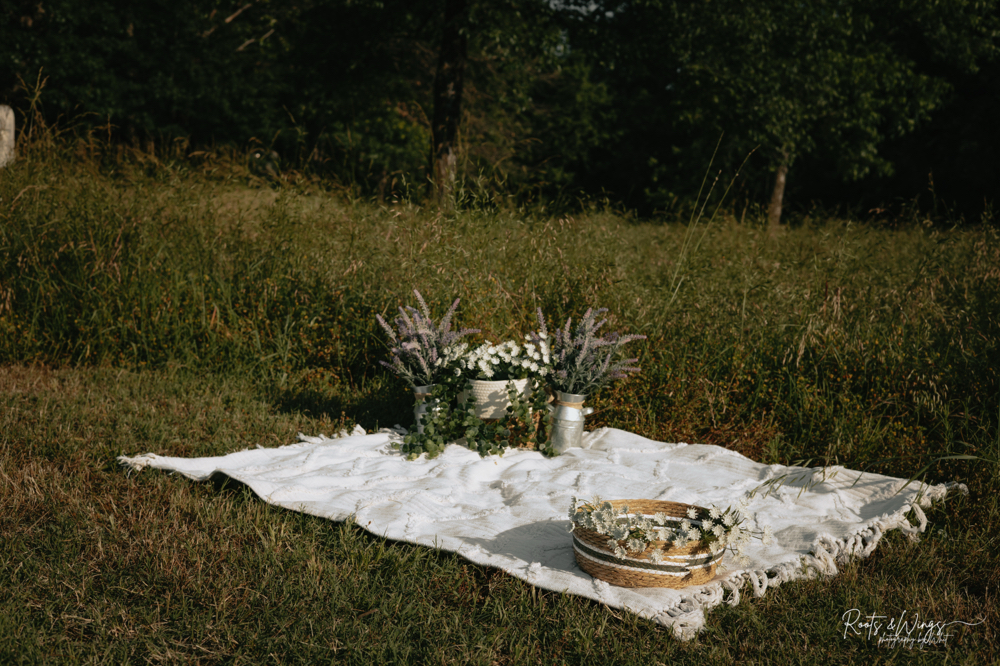 Summer Mini Sessions (June 22nd)
