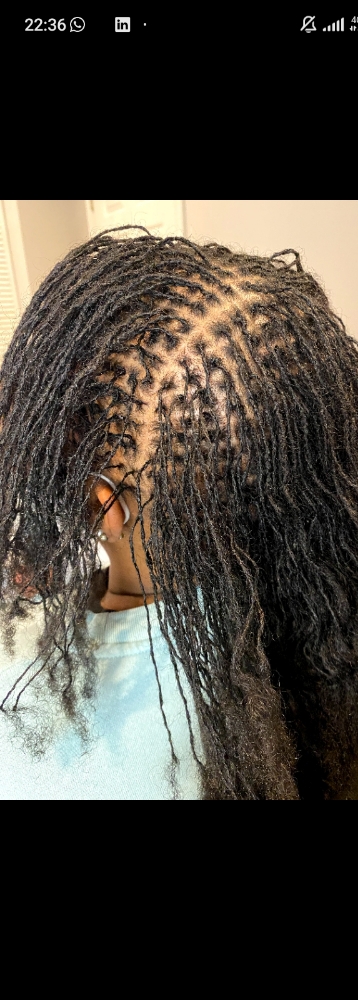 Sisterlocks Establishment