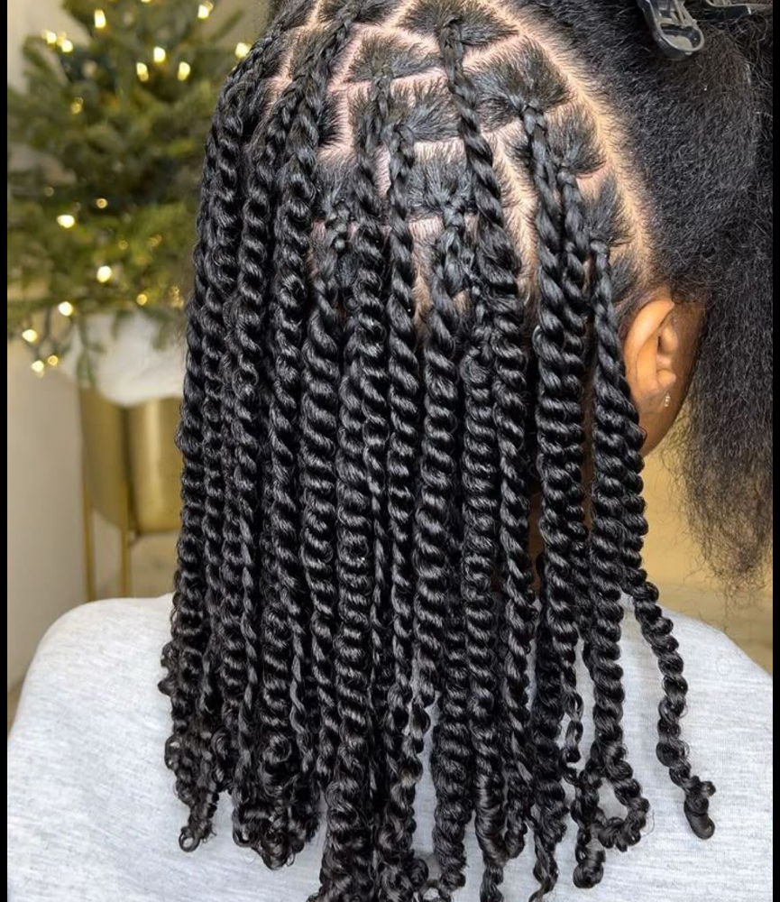 Natural Hair Two Strand Twist at Hairdollstyles Collection in Pleasant Grove, AL