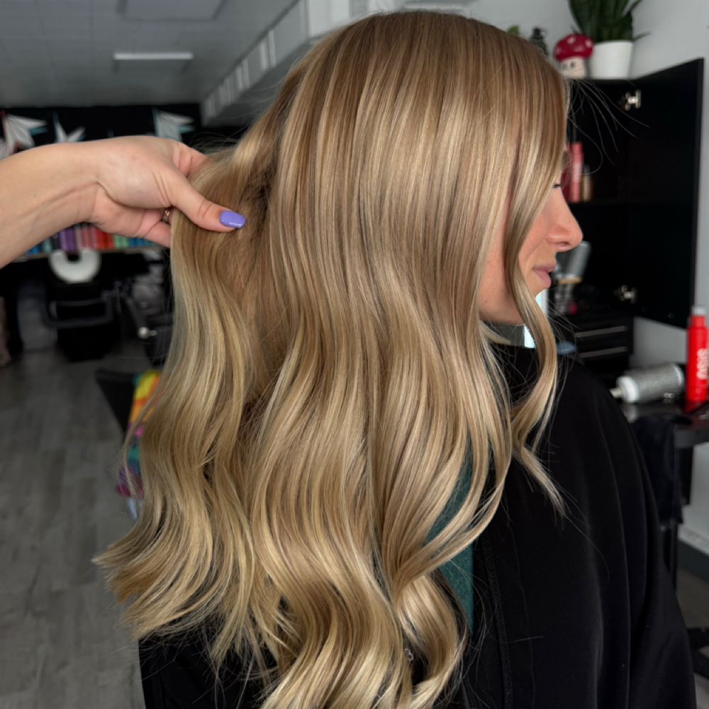 Full Highlight and Haircut at Brandi Skyy in Wheat Ridge, CO
