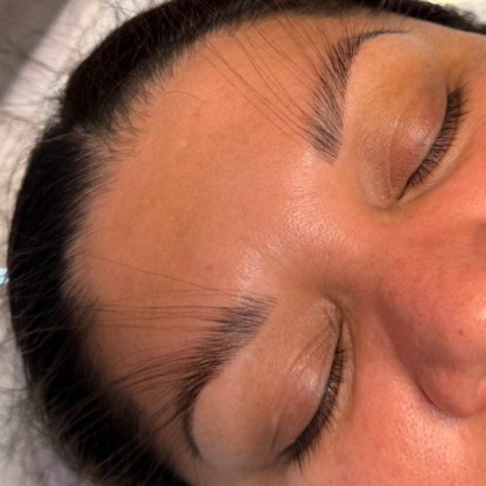Eyebrow lamination With Extensions at Babe Cave Esthetics in Antioch, CA
