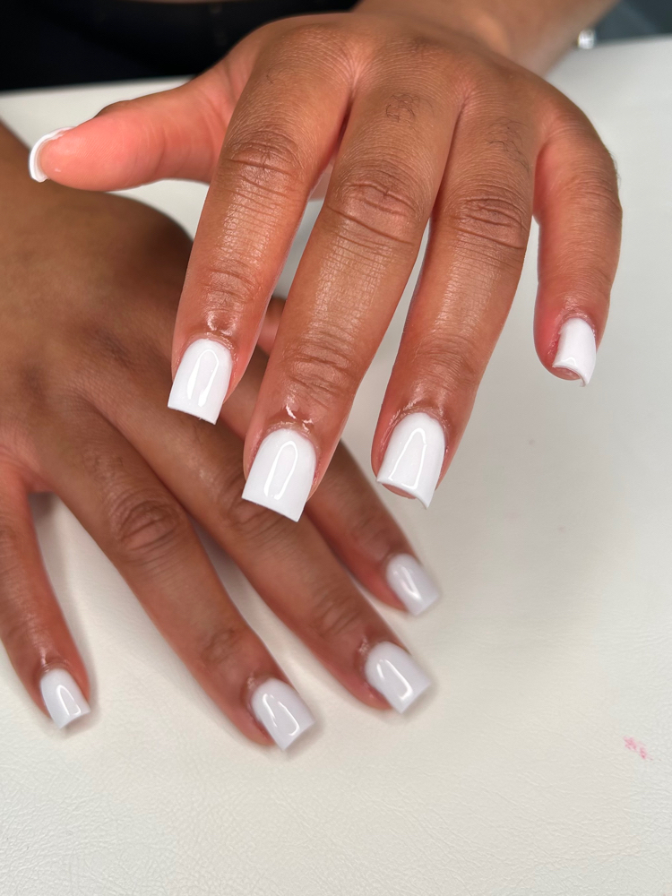 Basic Full Set