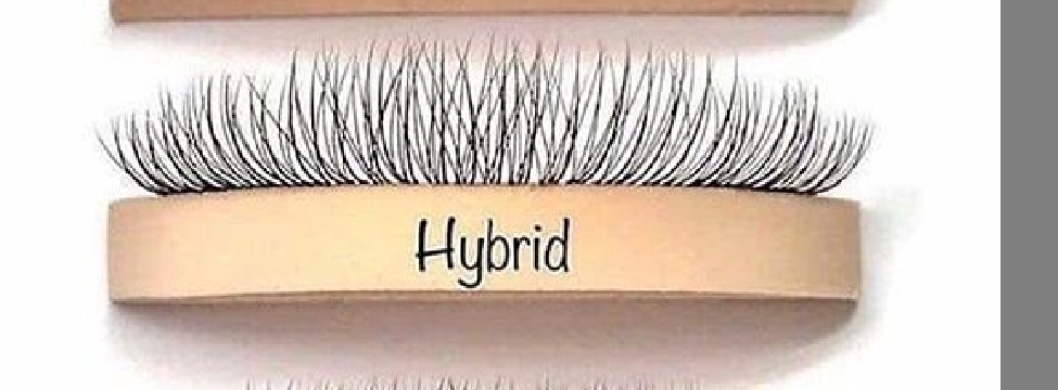 Lash Fills Hybrid 1st Wk