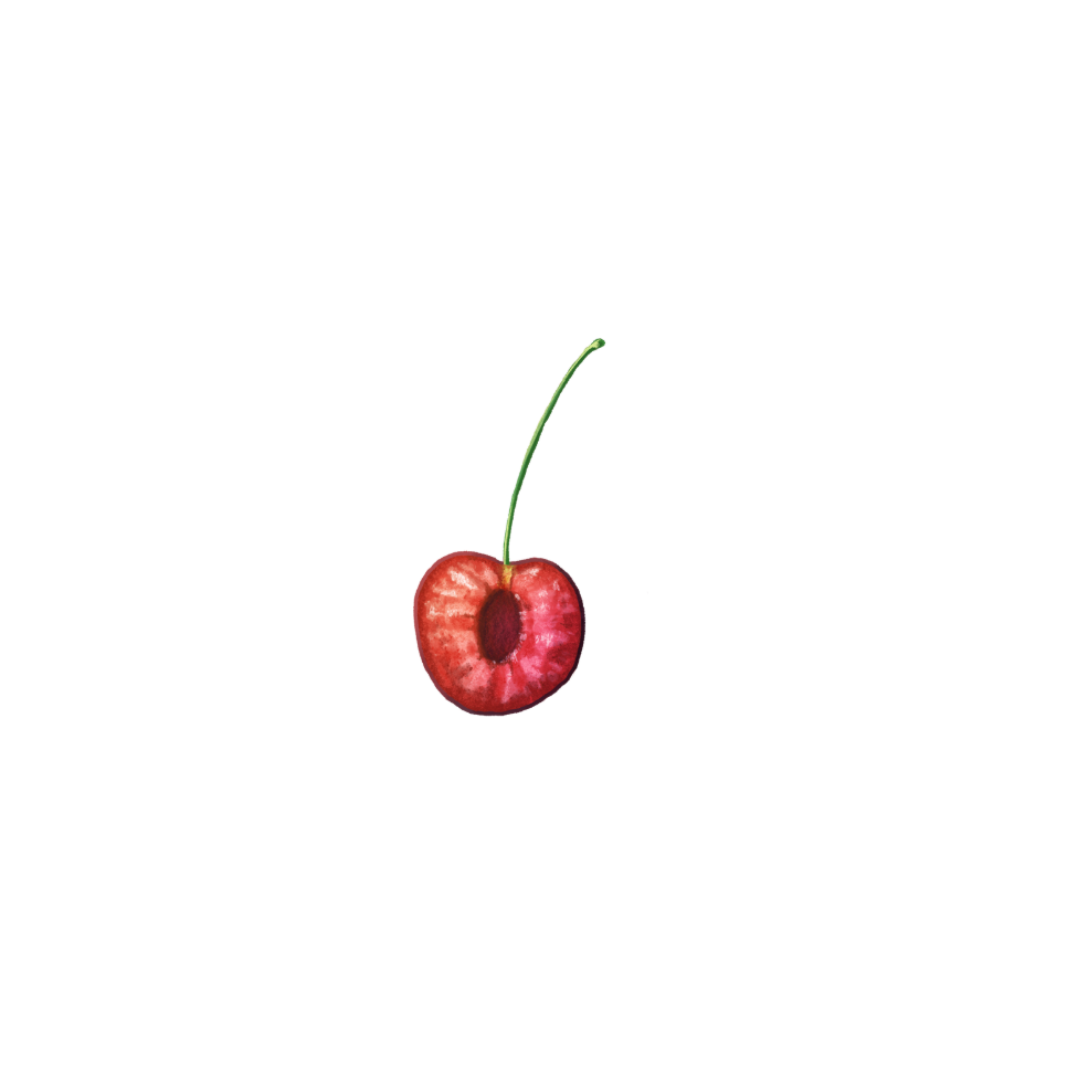 Bare Cereza at Cereza Beauty Bar in White Plains, NY