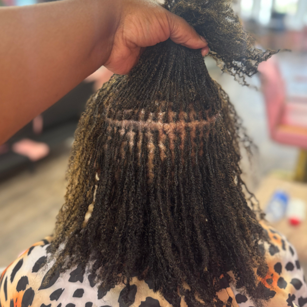 Adult Micro Loc Retie at Dee Did’em in Kinston, NC