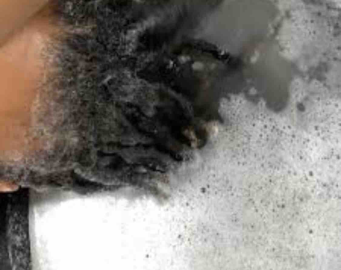 Loc Detox Service