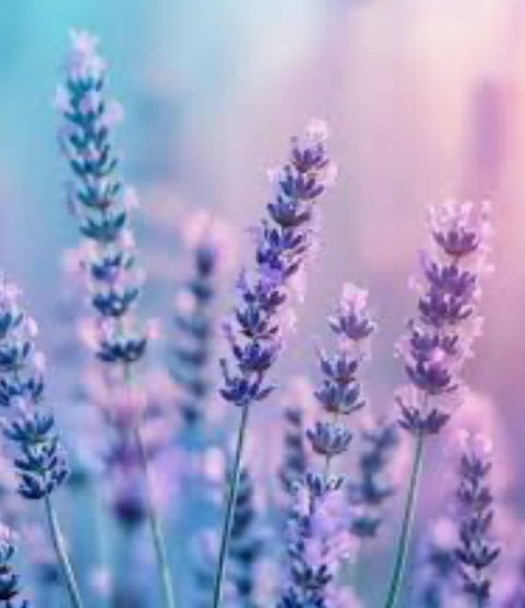 Lavender Relieve Pedicure