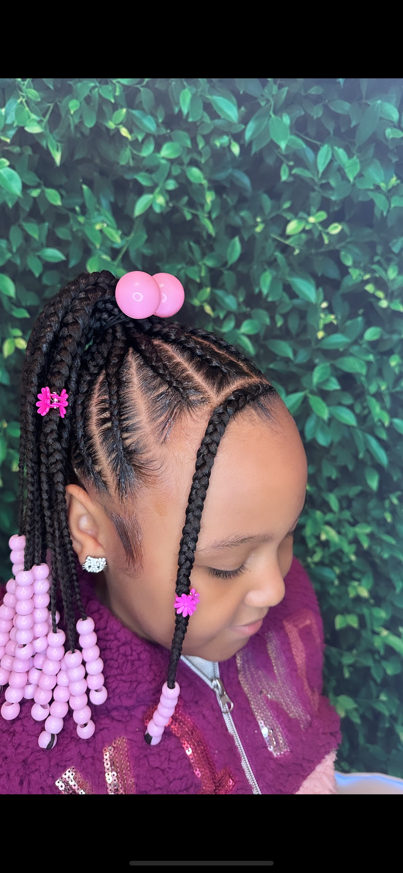 Braided Ponytail