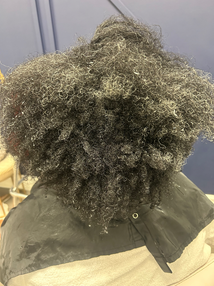 Detangling Service (MUST CONTACT 1s