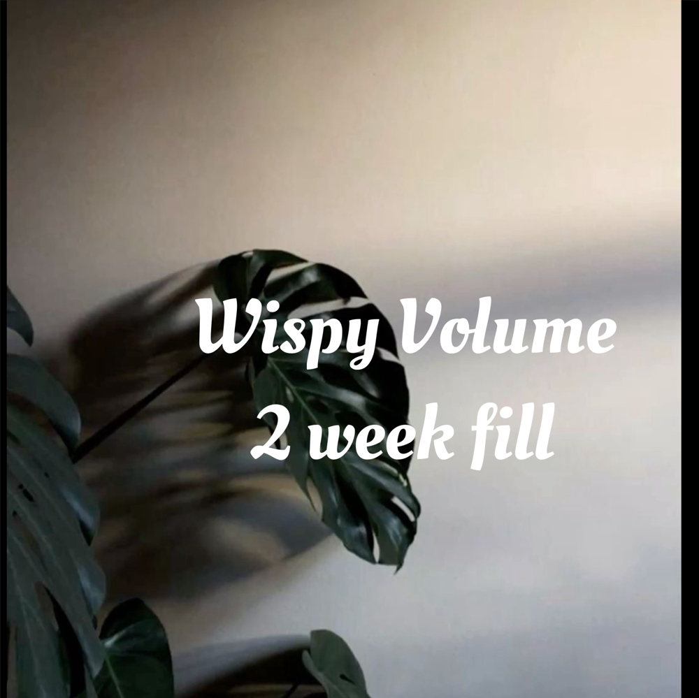 Wispy Volume 2 Week Fill