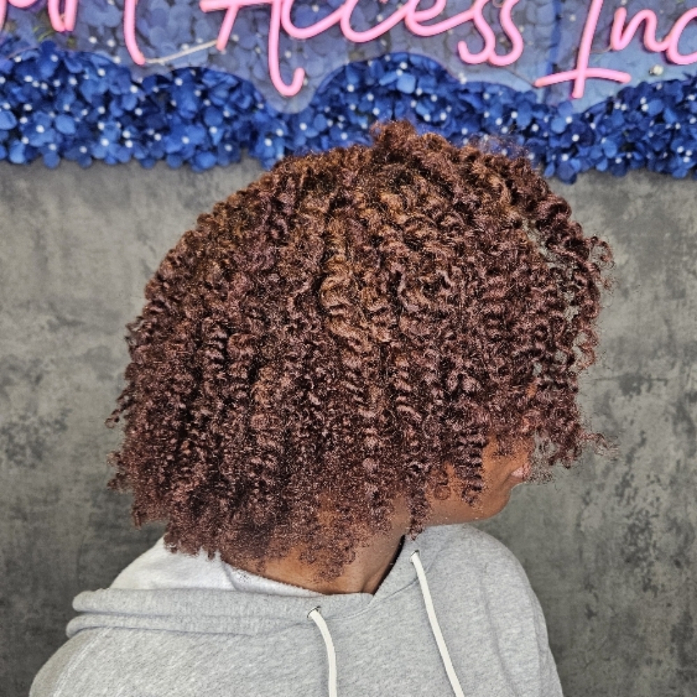 Two Strand TwistOUT w/Hydration at Curl Access Inc Salon in Snellville, GA