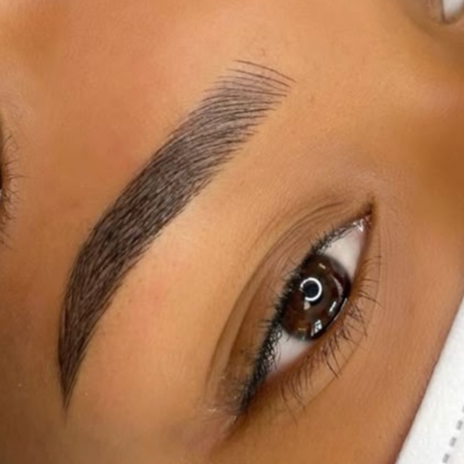 Hairstrokes and Shading PMU Brows