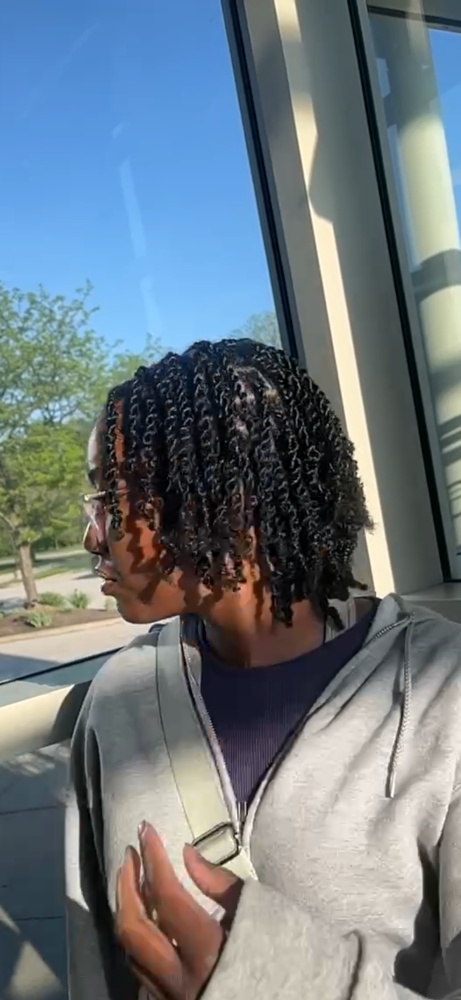 Two Strand Twist ( Natural Hair)